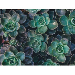 Awesome Concrete Plate pt-PT